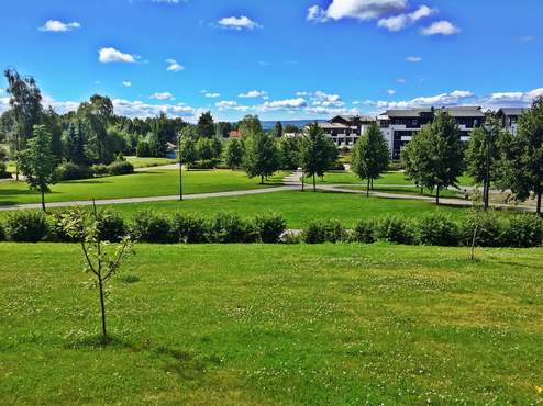 Romsaas Parke Sommer.jpg